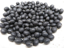 Soybean 'Hokkaido Black'