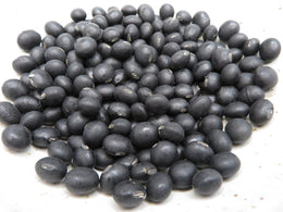 Soya 'Hokkaido Black'
