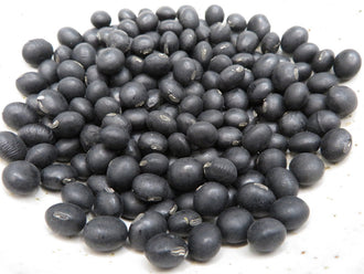 Soya 'Hokkaido Black'