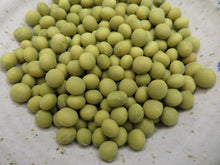 Soya 'Lucky Lion'