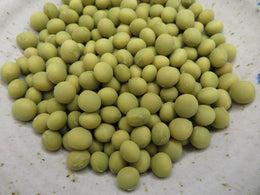 Soya 'Lucky Lion'