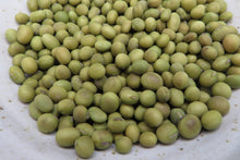 Soya 'Tokio Verte'