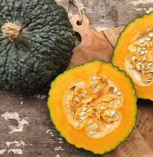 Semences Courge 'Marina di Chioggia' (Cucurbita maxima)