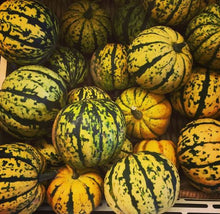 Courge 'Sugar Dumpling F1' bio