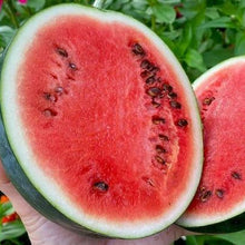 Organic 'Sugar Baby' Watermelon