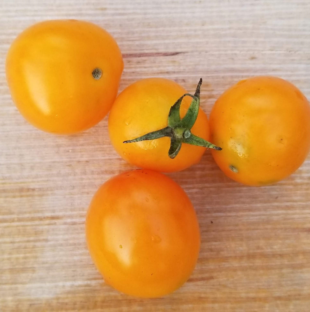 Organic 'Sweet Orange' Tomato