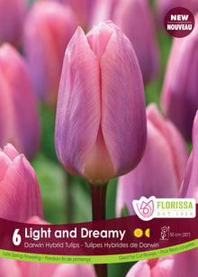 Tulipe Light and Dreamy ( Tulipa ) : une tulipe lilas rosé à base plus chaude. Le visuel Florissa présente la plante et son nom dans la partie inférieure de l’étiquette. La photographie occupe presque toute la surface, tandis que le bandeau du bas rassemble les indications du produit. Cette vue permet de reconnaître son apparence et de distinguer la variété présentée.