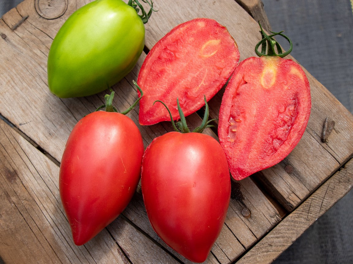 Tomates Rugby disposées sur des planches de bois brut. Deux fruits entiers rose rouge, allongés et pointus, occupent le premier plan. Un fruit vert se trouve en haut à gauche. Deux moitiés coupées dans la longueur montrent une chair rose rouge dense, de petites cavités contenant quelques graines et une zone plus pâle près du pédoncule.