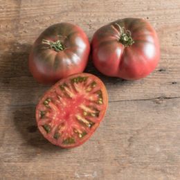 Tomate 'Black Krim' bio