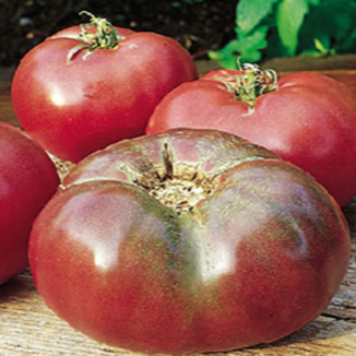 Tomate ‘Cherokee Purple’ bio (Solanum lycopersicum ‘Cherokee Purple’)