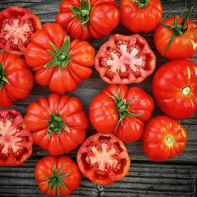 Organic 'Red Rosso Sicilian' tomato