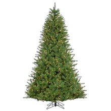 Sapin Mont d’Iberville