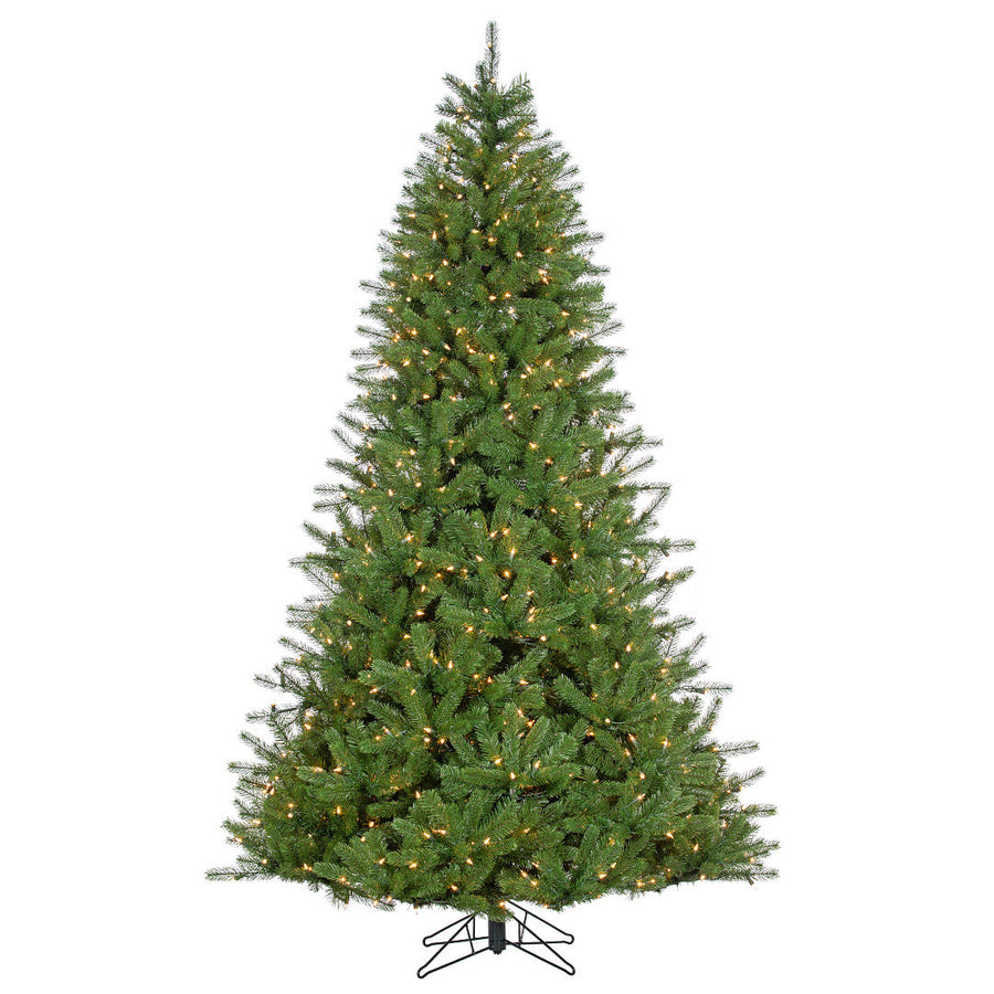 Sapin Mont d’Iberville