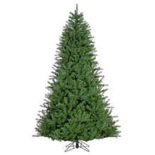 Sapin Mont d’Iberville