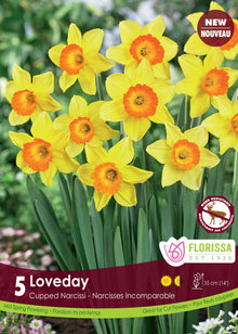 Narcisse ‘Loveday’ ( Narcissus ) : des narcisses jaunes à couronne orangée. Le visuel Florissa présente la plante et son nom dans la partie inférieure de l’étiquette. La photographie occupe presque toute la surface, tandis que le bandeau du bas rassemble les indications du produit. Cette vue permet de reconnaître son apparence et de distinguer la variété présentée.