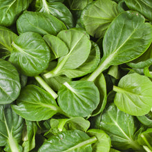 Tatsoï 'Asian Green' bio