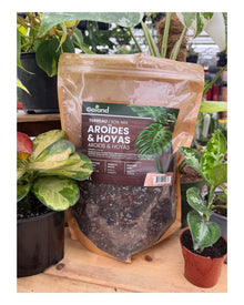 Sac de terreau Aroïdes et Hoyas Gaïand 2 L présenté en serre avec différentes plantes tropicales en pots