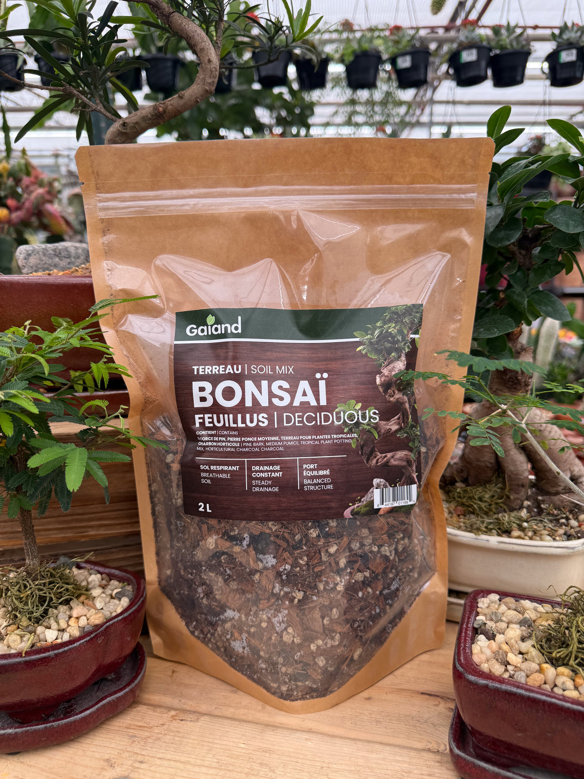 Sac de terreau Bonsaï feuillus Gaïand 2 L présenté en serre avec différents bonsaïs en pots