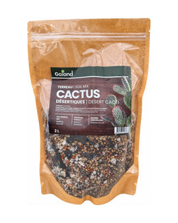 Terreau maison pour cactus désertique