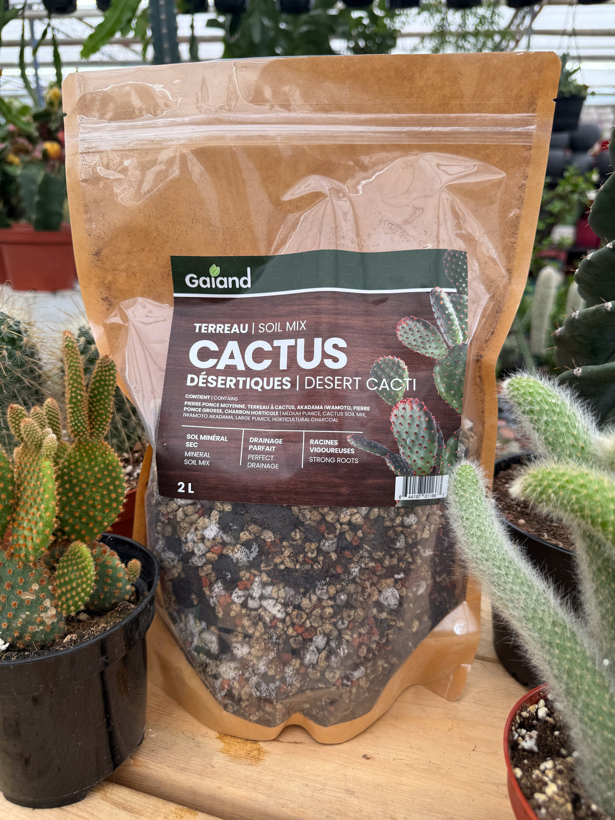 Sac de terreau Cactus désertiques Gaïand 2 L présenté en serre avec différents cactus en pots