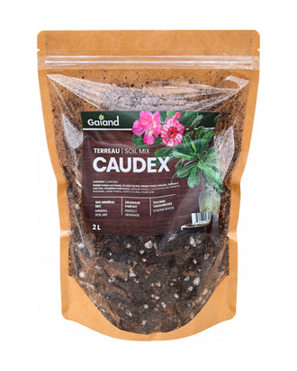 Sac de terreau Caudex Gaïand 2 L présenté en serre avec des plantes à caudex et succulentes