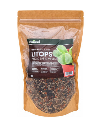 Sac de terreau Lithops Gaïand 2 L pour Aizoaceae et Mesembs présenté en serre avec des lithops en pots