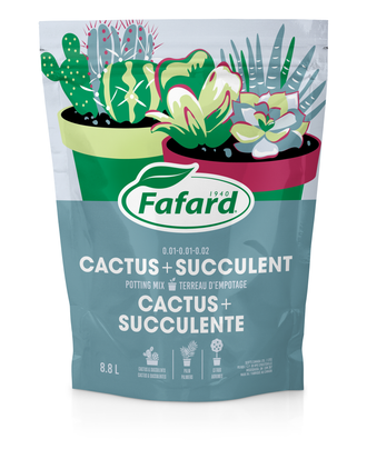 Sac de terreau Fafard pour cactus et succulentes conçu pour un drainage optimal des plantes grasses