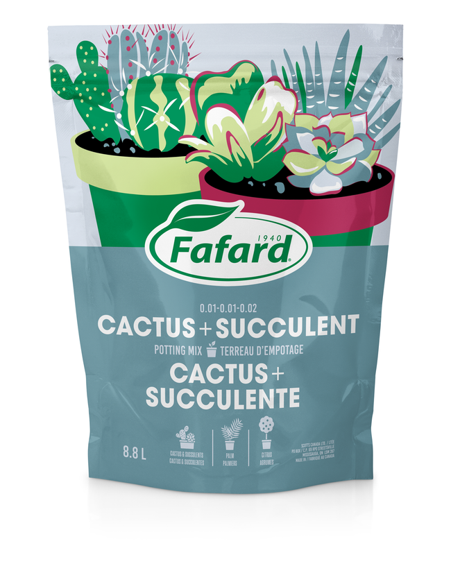 Sac de terreau Fafard pour cactus et succulentes conçu pour un drainage optimal des plantes grasses