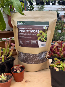 Sac de terreau insectivore Gaïand 2 L pour plantes carnivores présenté en serre parmi des dionées et sarracénies