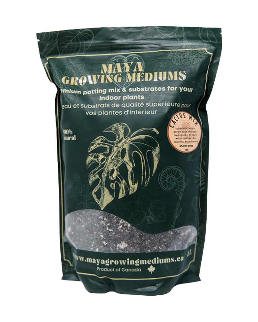 Terreau pour cactus Maya — photo sur fond blanc