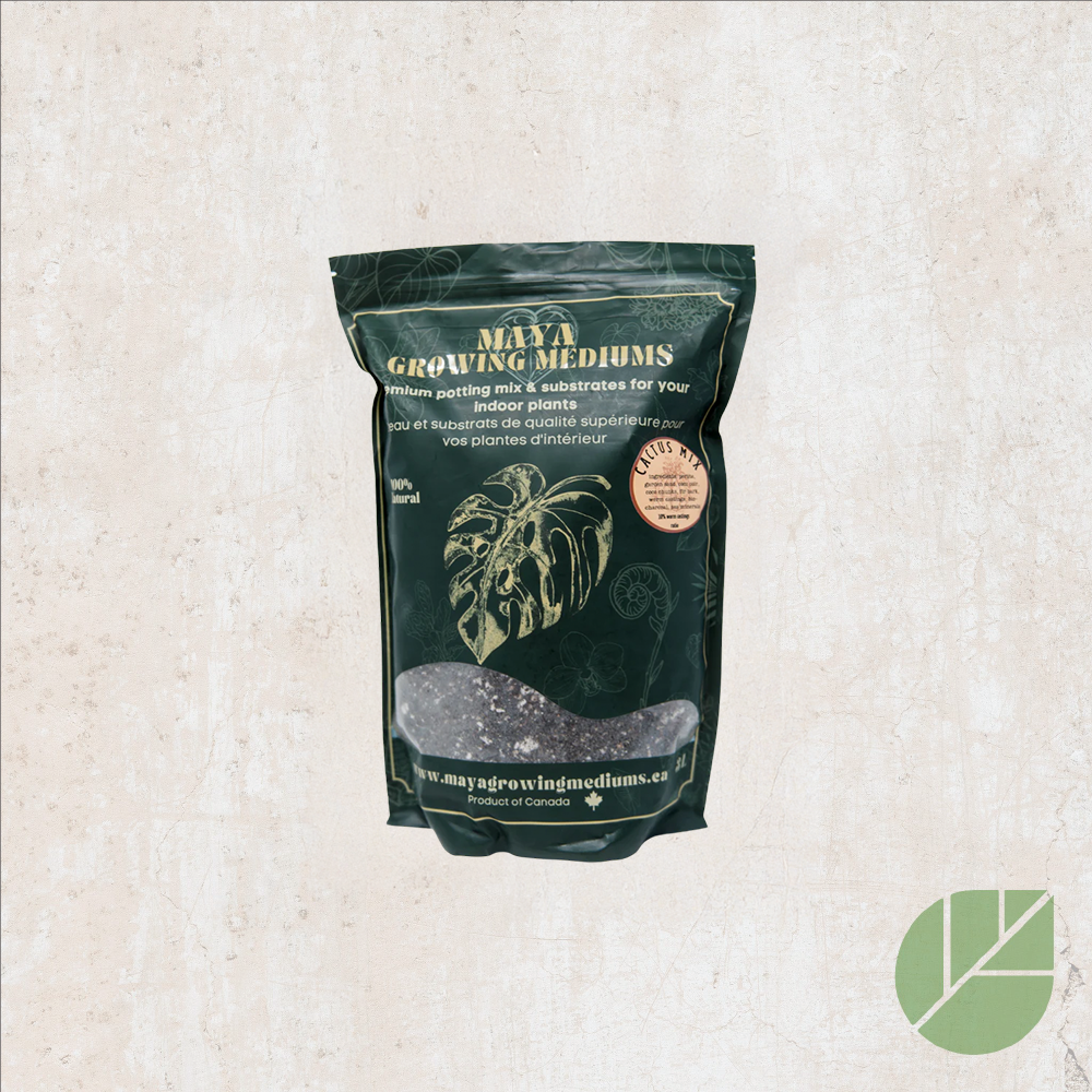 Maya Cactus Potting Mix