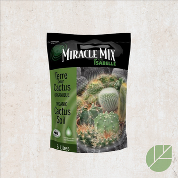 Terreau pour cactus Miracle Mix