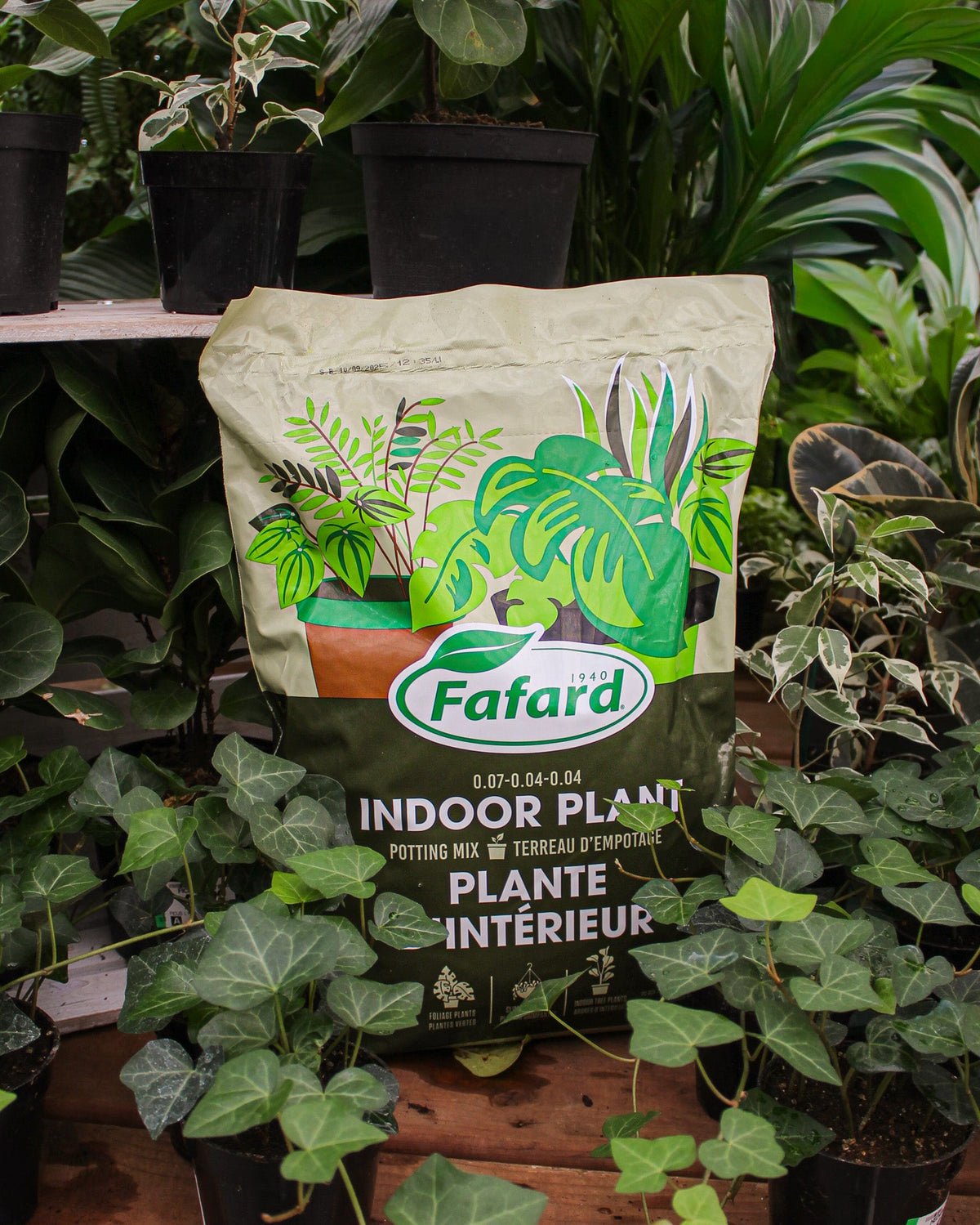 Sac de terreau pour plantes d’intérieur Fafard conçu pour la culture des plantes en pot à l’intérieur