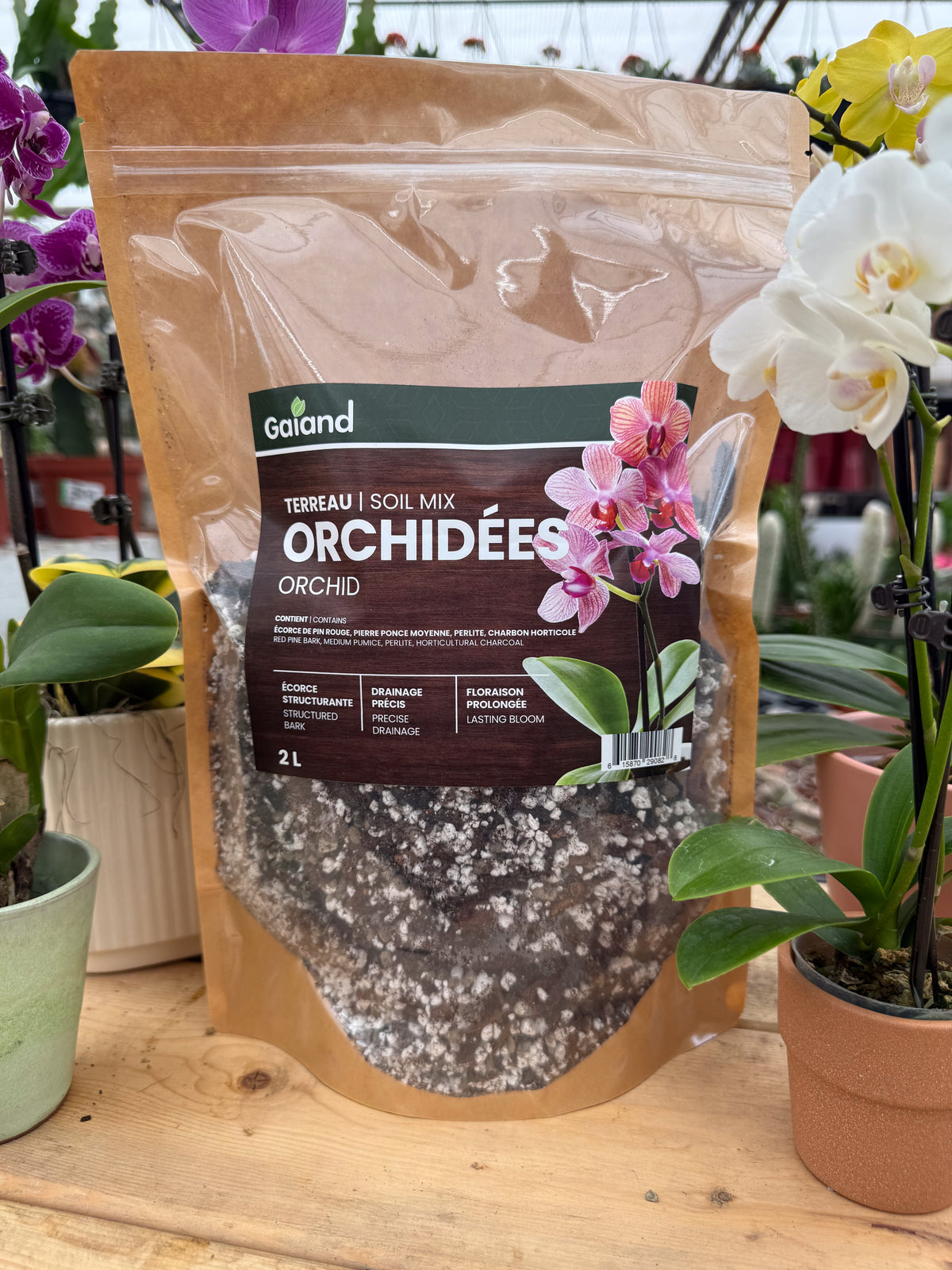 Sac de terreau pour orchidées Gaïand 2 L présenté en serre avec plusieurs orchidées en fleurs