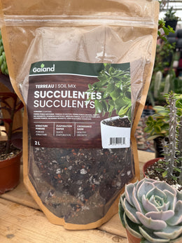 Sac de terreau pour succulentes Gaïand 2 L présenté en serre avec différentes plantes grasses en pots