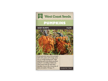Sachet Baby Bumps de West Coast Seeds avec un bandeau vert pâle et le nom en blanc sur fond brun. Deux citrouilles orange dressées, couvertes de bosses orange et vert foncé, se trouvent dans l’herbe. Leurs pédoncules sont longs et sombres. Une zone beige avec plusieurs lignes de texte se situe sous la photo.