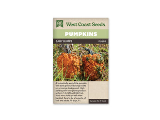 Sachet Baby Bumps de West Coast Seeds avec un bandeau vert pâle et le nom en blanc sur fond brun. Deux citrouilles orange dressées, couvertes de bosses orange et vert foncé, se trouvent dans l’herbe. Leurs pédoncules sont longs et sombres. Une zone beige avec plusieurs lignes de texte se situe sous la photo.