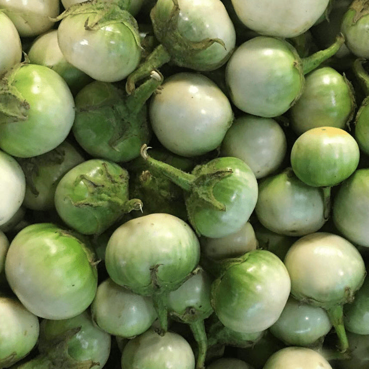 Aubergine longue 'Thai Round' bio