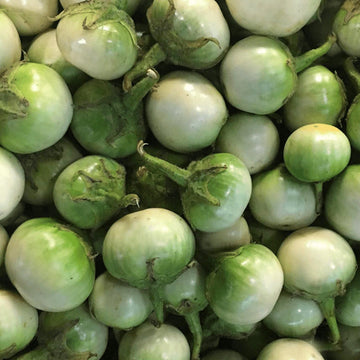 Aubergine longue 'Thai Round' bio