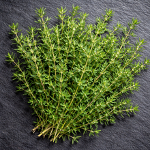 Thym bio