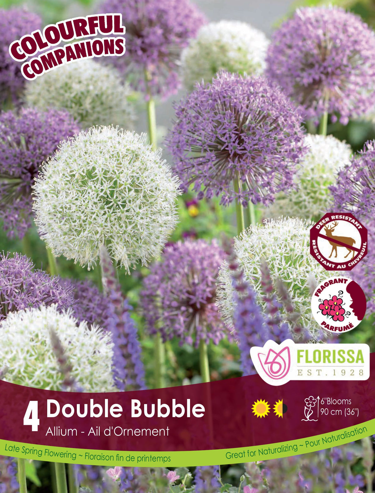 Harmonie florale Double Bubble ( Allium spp.) : des alliums à grosses boules blanches et violettes. Le visuel Florissa présente la plante et son nom dans la partie inférieure de l’étiquette. La photographie occupe presque toute la surface, tandis que le bandeau du bas rassemble les indications du produit. Cette vue permet de reconnaître son apparence et de distinguer la variété présentée.