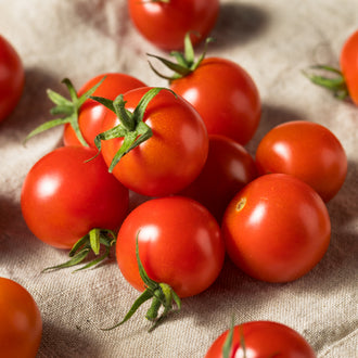 Visuel principal associé à Tomate cerise 'Bing', semences offertes par Cutleaf Seed. Cette image accompagne la fiche pour relier clairement le produit à son emballage ou à la culture présentée. Elle complète les renseignements de semis, de culture et de récolte, sans remplacer les indications propres au lot ni les conseils détaillés figurant sur le sachet.