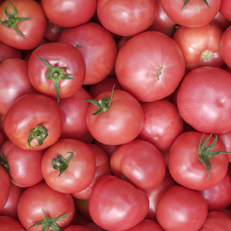 Photo de Tomate Chef's Choice Rose F1. La couleur caractéristique est : rose. Le visuel permet d'observer les contours, les teintes et la disposition des éléments présentés. Les détails de forme et les contrastes donnent un aperçu de l'apparence de cette plante ou de sa récolte. Cette photographie accompagne la variété nommée afin de l'identifier dans la sélection de semences.