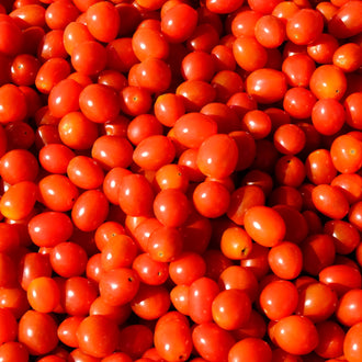 Photo de Tomate Little Napoli F1. La couleur caractéristique est : rouge. Le visuel permet d'observer les contours, les teintes et la disposition des éléments présentés. Les détails de forme et les contrastes donnent un aperçu de l'apparence de cette plante ou de sa récolte. Cette photographie accompagne la variété nommée afin de l'identifier dans la sélection de semences.