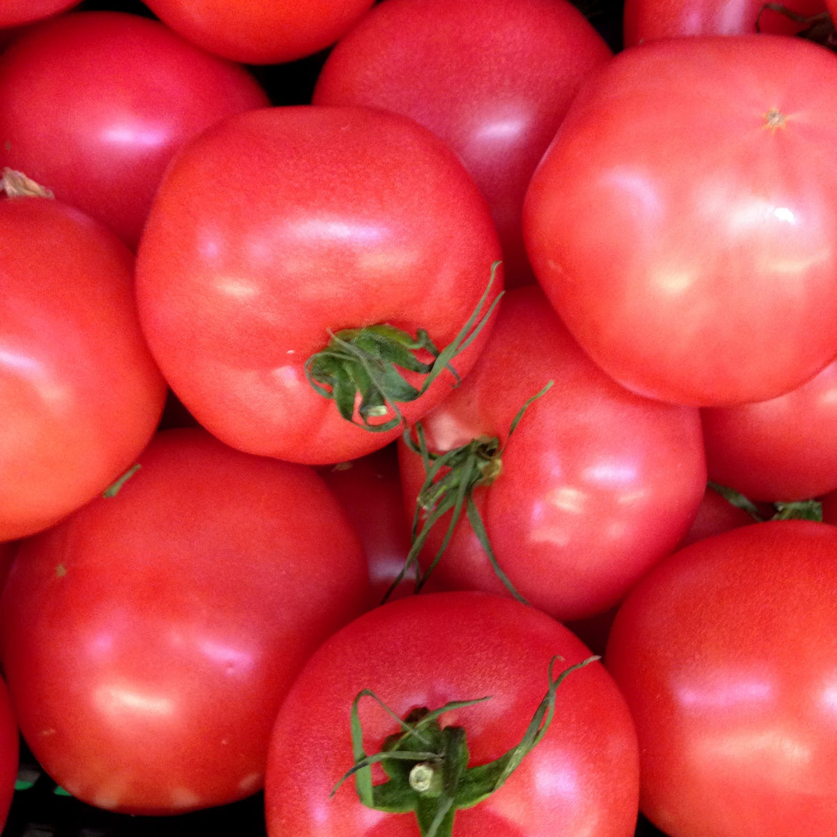 Photo de Tomate Pink Cupcake F1. Avec un port déterminé et des fruits fermes de taille moyenne, elle est idéale pour les jardiniers à la recherche de qualité et de rendement. La couleur caractéristique est : rose. Le visuel permet d'observer les contours, les teintes et la disposition des éléments présentés.