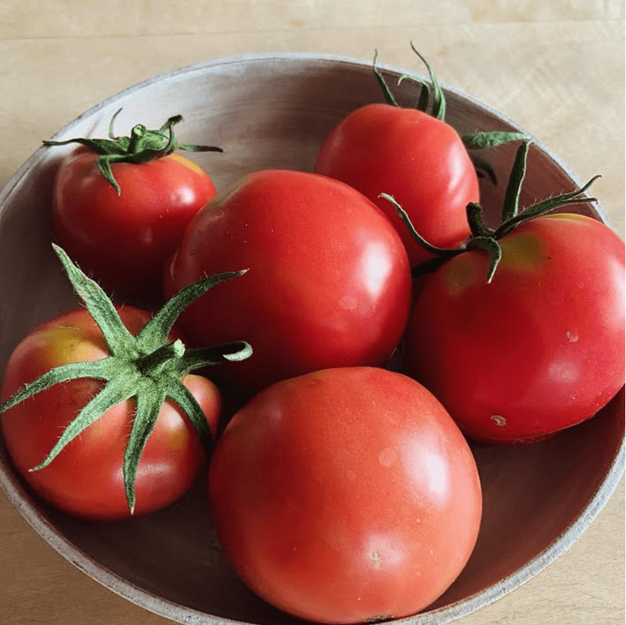 Tomate 'Rose De Bonne' bio
