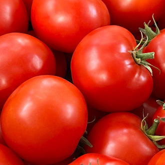 Visuel principal associé à Tomate 'Sioux', semences offertes par Cutleaf Seed. Cette image accompagne la fiche pour relier clairement le produit à son emballage ou à la culture présentée. Elle complète les renseignements de semis, de culture et de récolte, sans remplacer les indications propres au lot ni les conseils détaillés figurant sur le sachet.