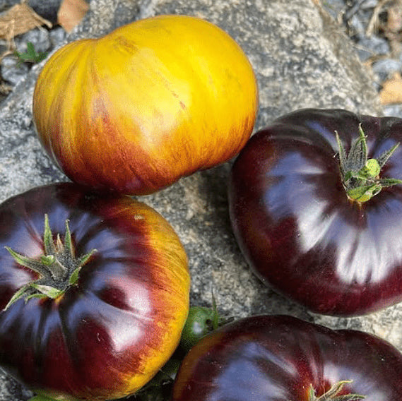 Organic 'Alice Dream' Tomato