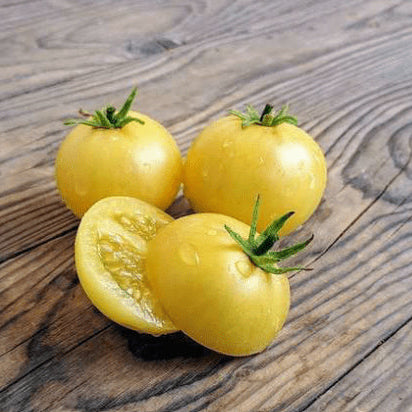 Organic 'Barossa Fest Dwarf' tomato