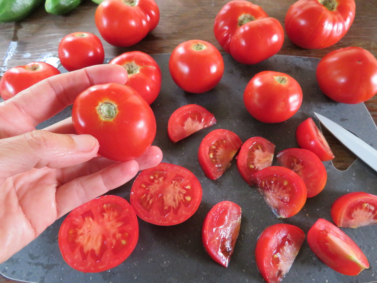 Tomate 'Bétalux'